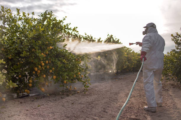 Insect Control in Mcclure, PA