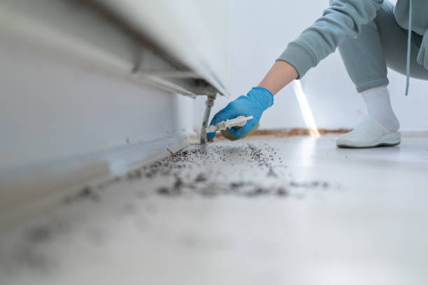 Best Bed Bug Extermination  in Mcclure, PA